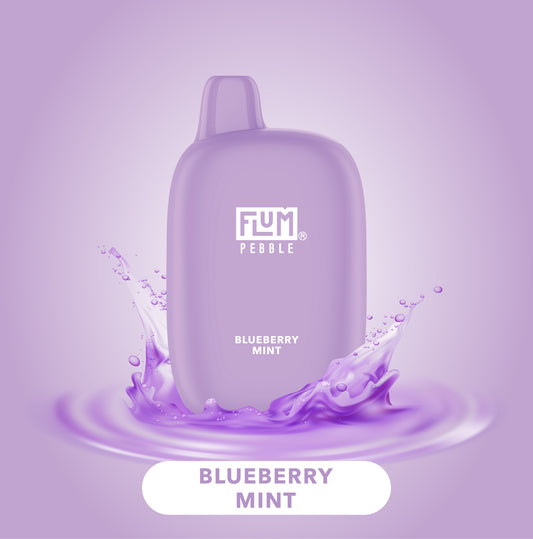 FLUM Pebble - Blueberry Mint