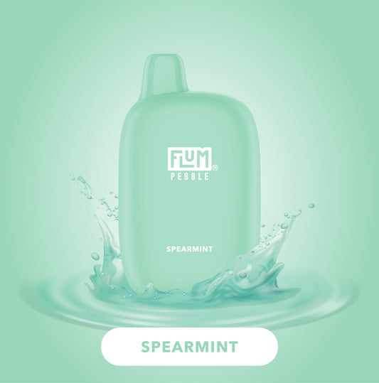 FLUM Pebble - Spearmint