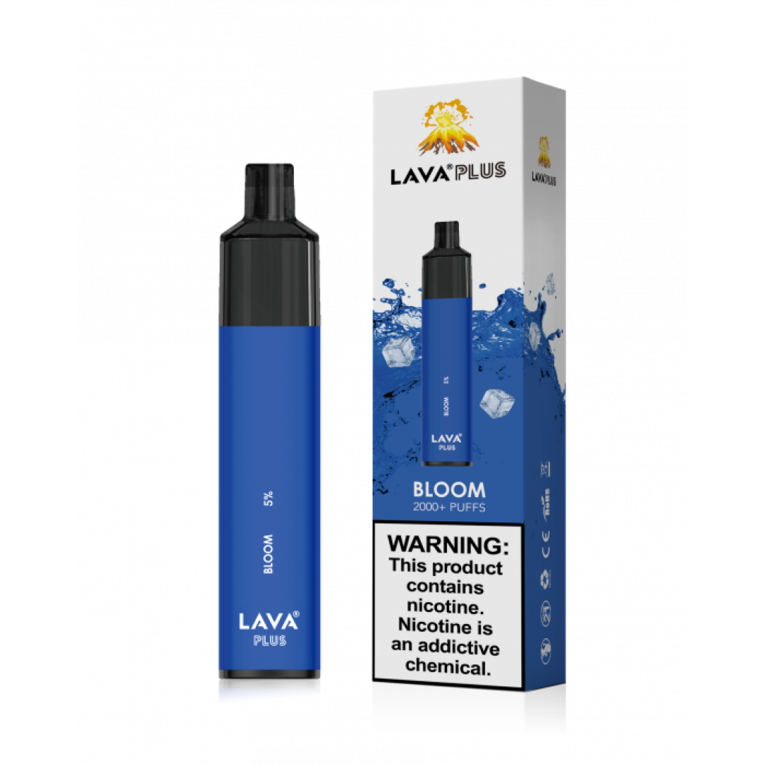 LAVA PLUS BLOOM | PRICE POINT NY