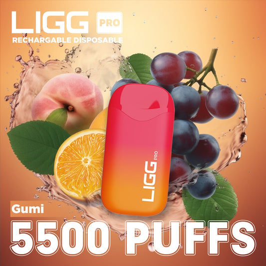LIGG Pro - Gumi