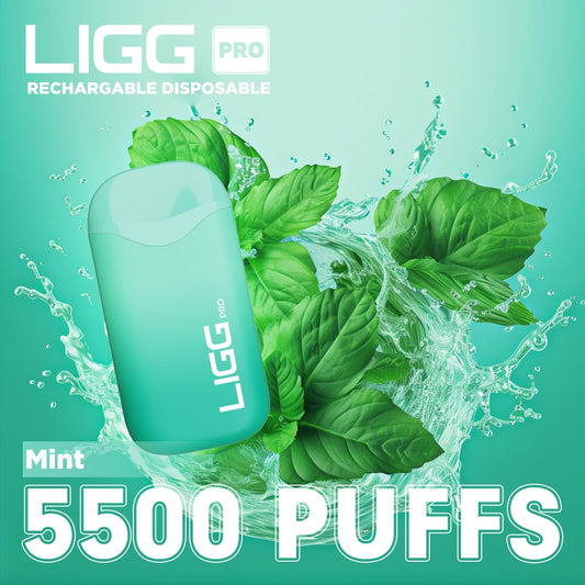 LIGG Pro - Mint