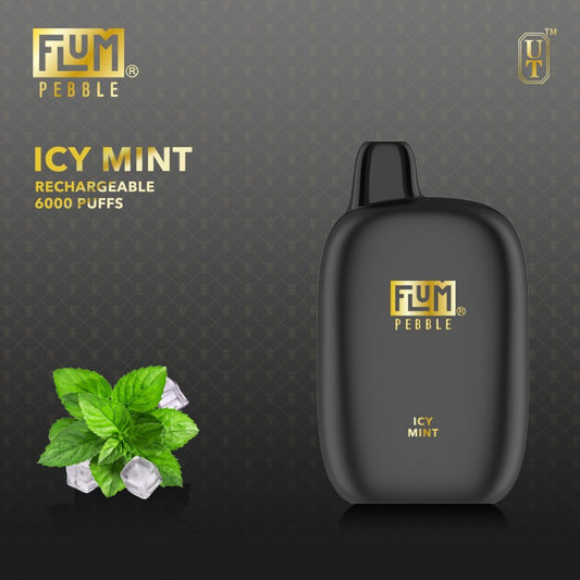 FLUM Pebble - Icy Mint