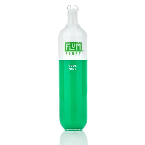 FLUM FLOAT COOL MINT - PRICE POINT NY